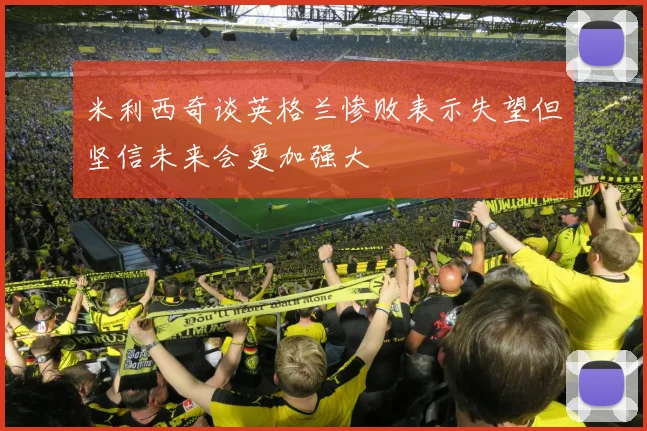米利西奇谈英格兰惨败表示失望但坚信未来会更加强大