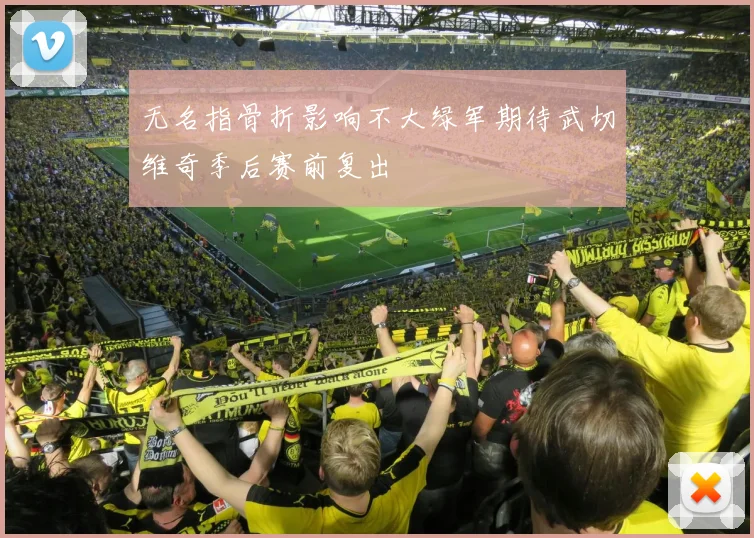 无名指骨折影响不大绿军期待武切维奇季后赛前复出